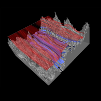 Wind through rocky region